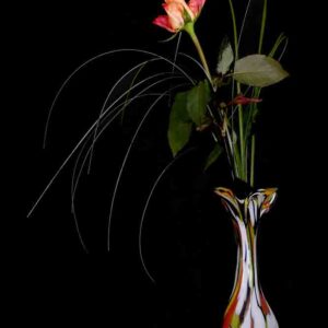 Eleganz-im-Stillen - Bildkunst als limitierte Kunst, Fine-Art Print